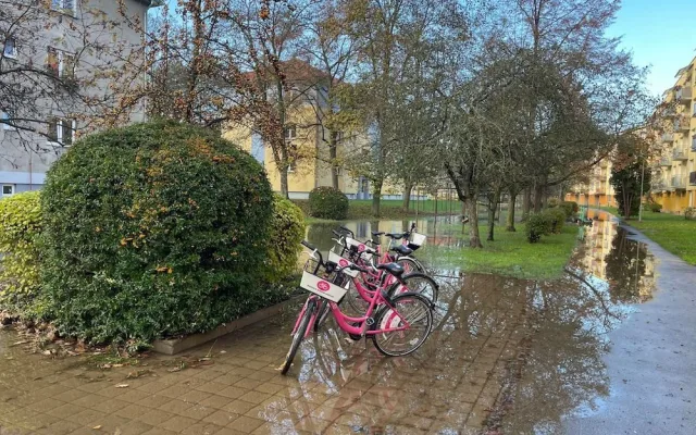 Část Budějc byla od rána bez vody. V Plzeňské prasklo potrubí