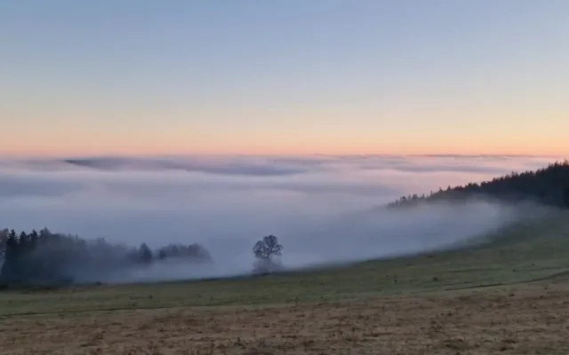Pondělní ráno na Šumavě, foto: We Love Šumava