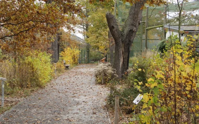 I na podzim má Jihočeská zoologická zahrada co nabídnout