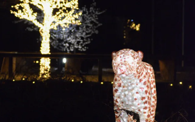 Zoo Hluboká se rozsvítí již v pátek 9. prosince