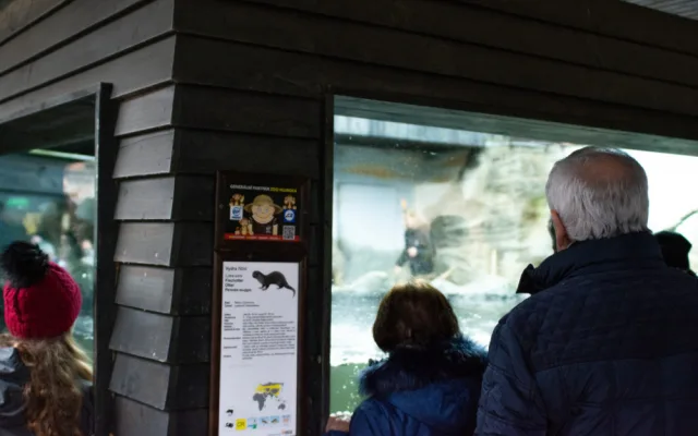 Štědrý den v Zoo Hluboká. Soutěžte o rodinnou vstupenku a krmení lemurů