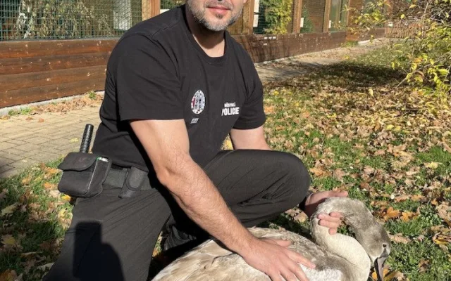 spolupráce s městskou policií je na výborné úrovni