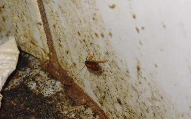 Restaurace Met zůstává po kontrole inspekce uzavřena. Čekáme na další kontrolu, říkají provozovatelé