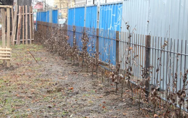 Park Dukelská se otevře v květnu. Bez herních prvků