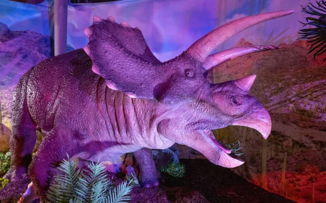 Dinosauři se v roce 2023 vrací do Českých Budějc