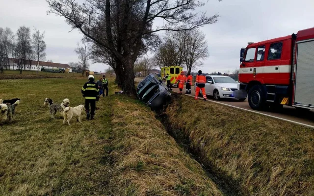 Problémová pejskařka havarovala na jihu Čech. Čtrnáct psů se rozuteklo do luk, jeden po nehodě zahynul