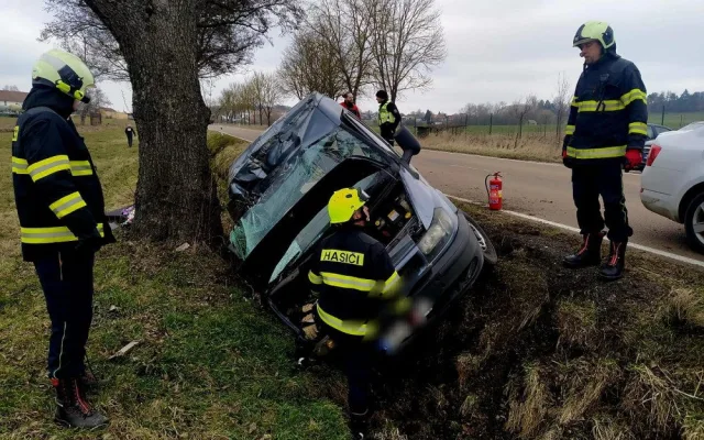 Problémová pejskařka havarovala na jihu Čech. Čtrnáct psů se rozuteklo do luk, jeden po nehodě zahynul