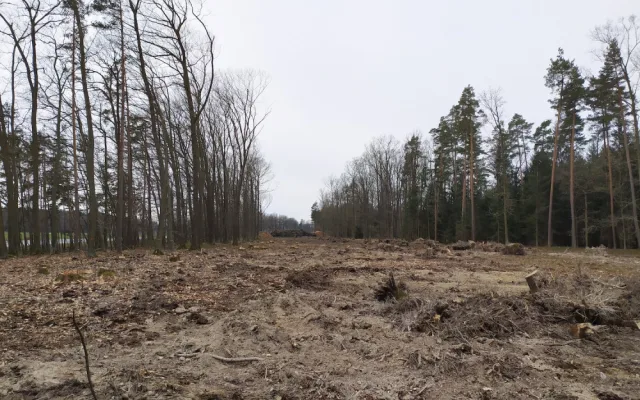 Práce na obchvatu Lišova pokračují. Pomalu se ukazuje trasa nové silnice