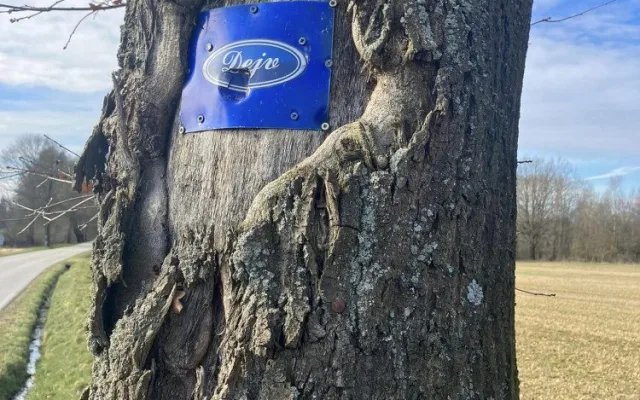 Nepochopitelné vandalství. Kdosi poškodil hrob a pietní místo tragicky zesnulého mladíka