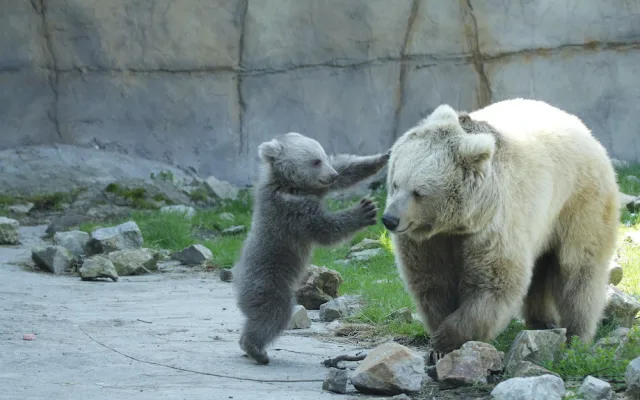 Zoo Hluboka nad Vltavou