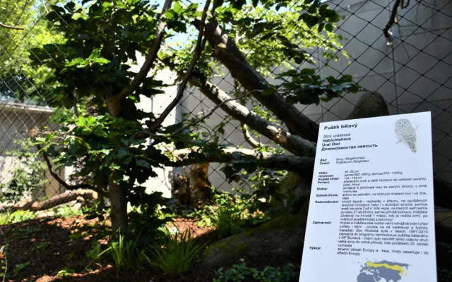 Zoo v Hluboké nad Vltavou má novou expozici sov