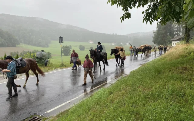 Šumavští středověcí soumaři půjdou poprvé s koňmi a obilím z Rakouska do Německa