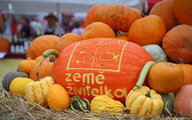 Země živitelka láká na nejsilnější traktor i největšího osla Vyhrajte vstupenky a užijte si živitelku zadarmo