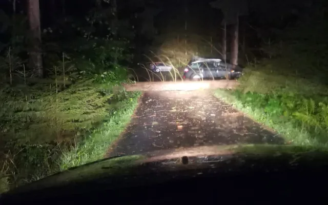 Strom, který spadl na Lipensku. Foto: Petra Kadlecová