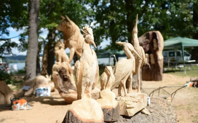 Dřevosochařské sympozium je tady, v Zoo Hluboká