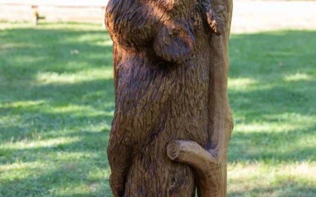 Dřevosochařské sympozium proběhlo před areálem Jihočeské zoologické zahrady