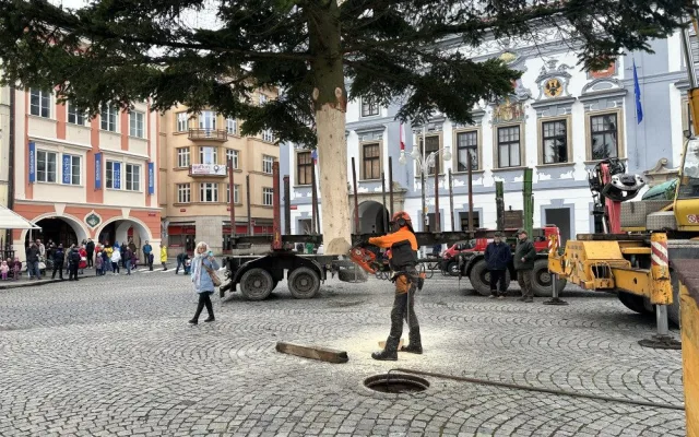 Vánoční strom je na svém místě. Náměstí ozdobila jedle z Kaliště