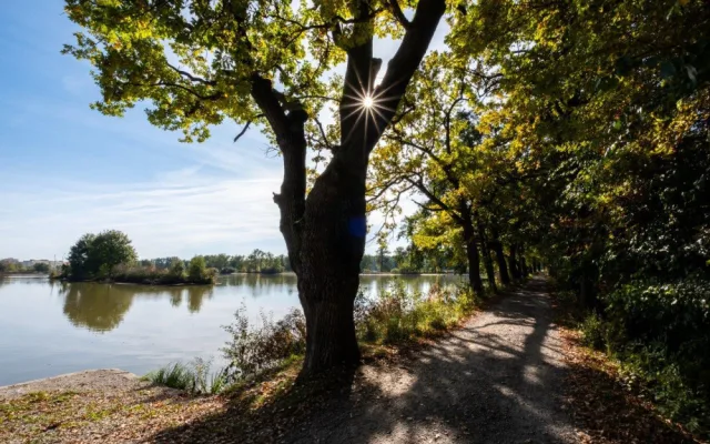 Nedaleko jsou také Vrbenské rybníky či řeka Vltava.