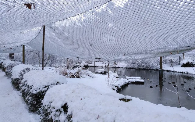 Také při loňské zimě zaměstnanci zoologické zahrady řešili škody spojené s těžkým sněhem. Fotografie poskytl zástupce ředitele Roman Kössl.