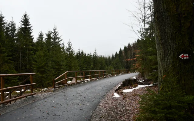 Vltavská cyklostezka z Loučovic do Vyššího Brodu je připravena na cyklisty