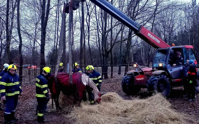 VIDEO: Hasiči pomáhali kobyle na nohy. Poté si zvíře převzala veterinářka