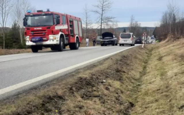 Řidička Lamborghini srazila divoké prase. Škoda je půl milionu