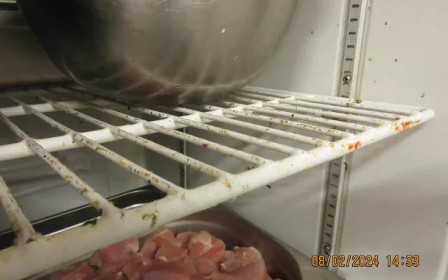Špína na podlaze, živí i uhynulí švábi. Inspekce zavřela indickou restauraci v Táboře