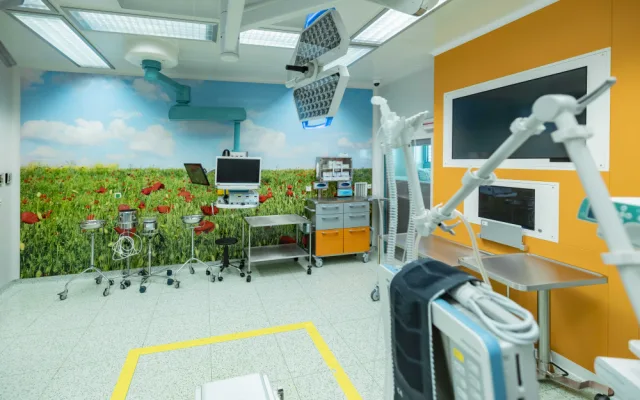 Operační sály nemocnice v Jindřichově Hradci oživují tapety s přírodními motivy