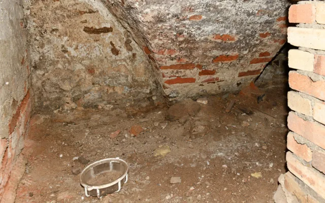 České Budějovice objektivem Milana Bindera a perem Martina Maršíka: Nelehký život čuníků