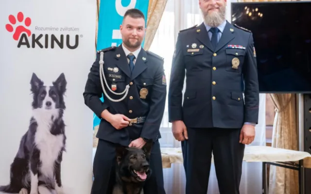 Policejní pes Rapp si odnesl ocenění v anketě Statečné psí srdce. Život zachránil ztracenému muži