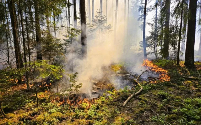 Hasiči řešili požáry a popadané stromy. Filipojakubská noc byla ale klidná