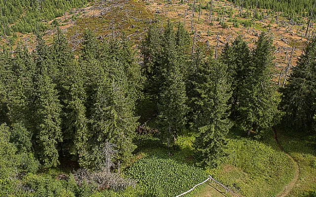 Národní park Šumava zavedl kvůli bezpečnosti nové opatření proti bezohledným návštěvníkům