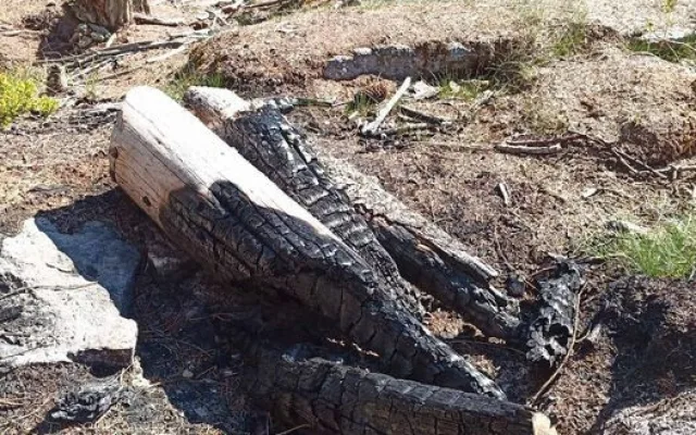 Národní park Šumava zavedl kvůli bezpečnosti nové opatření proti bezohledným návštěvníkům