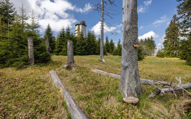 Národní park Šumava zavedl kvůli bezpečnosti nové opatření proti bezohledným návštěvníkům