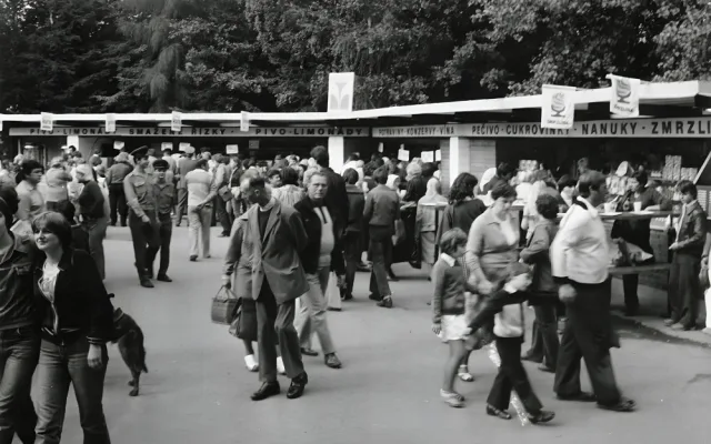Země žívitalka v roce 1980