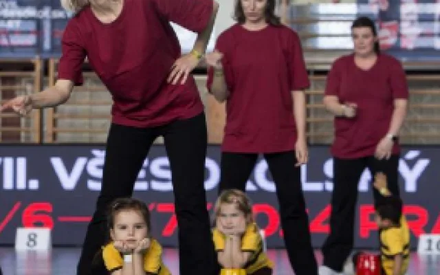 Krajský sokolský slet v Českých Budějovicích. Slavnostní setkání sokolů proběhne na Sokolském ostrově