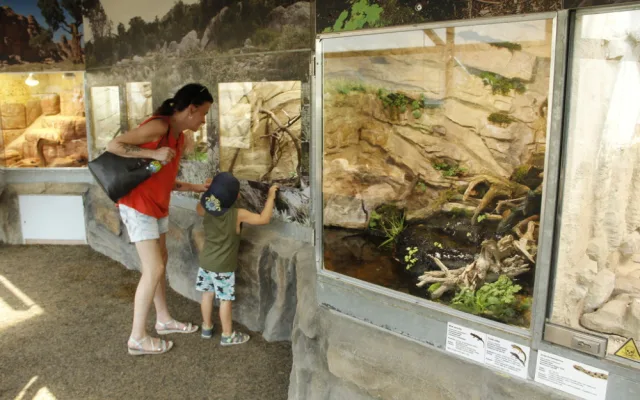 Akce Zachraň karase se koná v Jihočeské zoologické zahradě Hluboká nad Vltavou