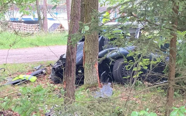 Smrtelná nehoda v Sezimově Ústí, řidič nepřežil čelní náraz do stromu