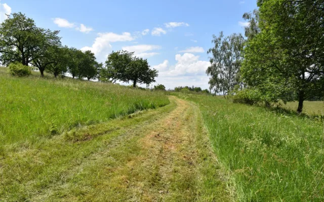 Bývalý lom přetvořili v Písku na veřejné ohniště, láká na pikniky i opékání špekáčků