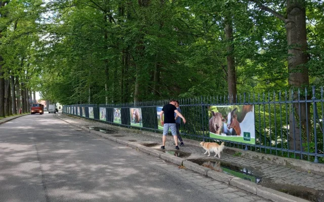 Týraná zvířata i dráha pro čtyřkolky. Kulturní památku mění bez povolení na zábavní park, úřady jsou bezmocné
