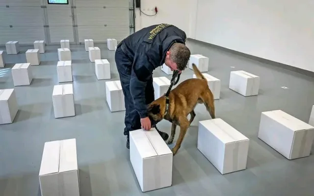 V deseti letech jde policejní šampion do důchodu. Button je prostě borec, říká jeho páníček