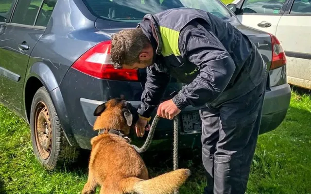 V deseti letech jde policejní šampion do důchodu. Button je prostě borec, říká jeho páníček