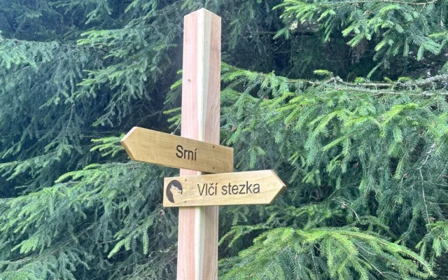 Návštěvníci Šumavy mohou vyrazit na novou zážitkovou trasu. Projdou mýtinou, lesem i přes brod