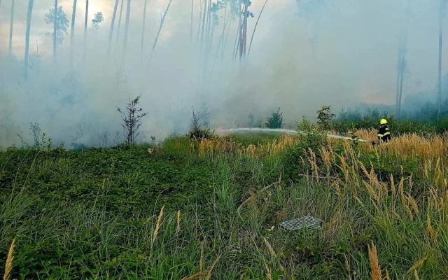Požár zachvátil les u Bělčic na Strakonicku. Hasiči vyhlásili druhý stupeň požárního poplachu a vyžádali si leteckou podporu