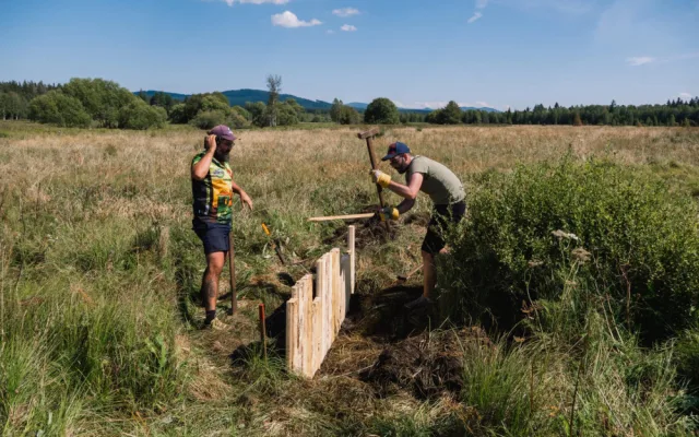 S obnovou rašelinišť v NP Šumava pomůže mezinárodní skupina dobrovolníků