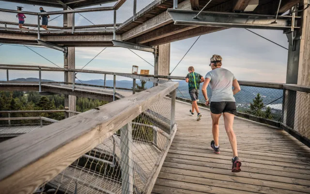 Na ČEZ Lipno Sport Festivalu se vybralo 100 tisíc na charitu a o víkendu se poběží ČT Lipno půlmaraton