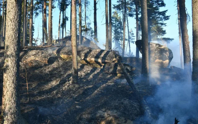 U požáru lesa na Šumavě zasahovalo několik jednotek hasičů
