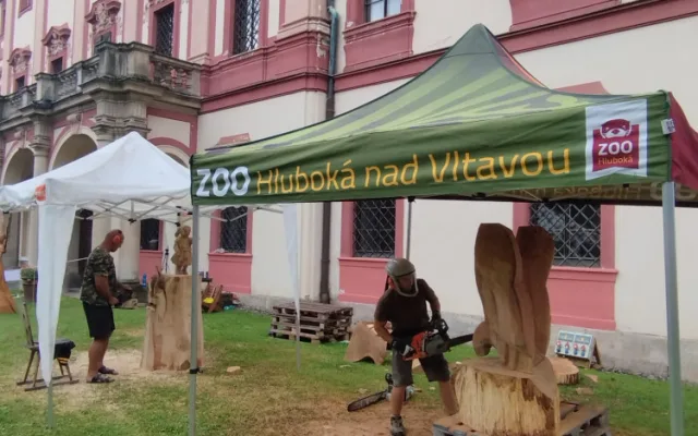 Závěr prázdnin ozvučí okolí areálů Zoo Hluboká a NZM Ohrada motorové pily nejlepších dřevosochařů
