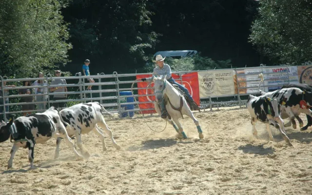 Americké rodeo v Boršově nad Vltavou. Soutěž o mistra ČR, slavnostní atmosféra a spousta zábavy na louce u Vltavy
