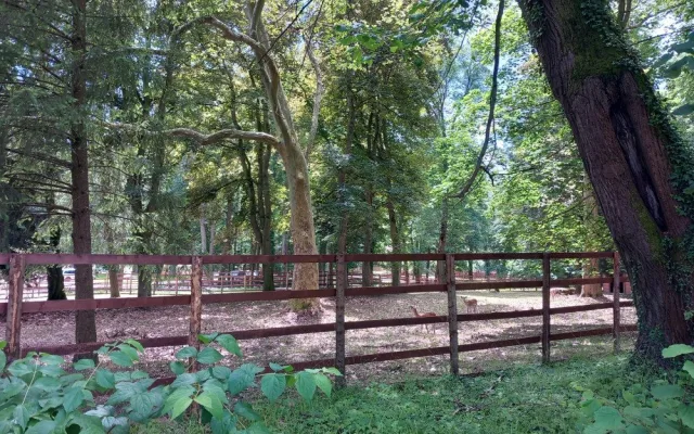 Lanový park, bobová dráha i dinopark. Zámecký areál v Chlumu u Třeboně se nadále bez jakýchkoli povolení mění v zábavní park